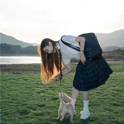 蓝甲虫
